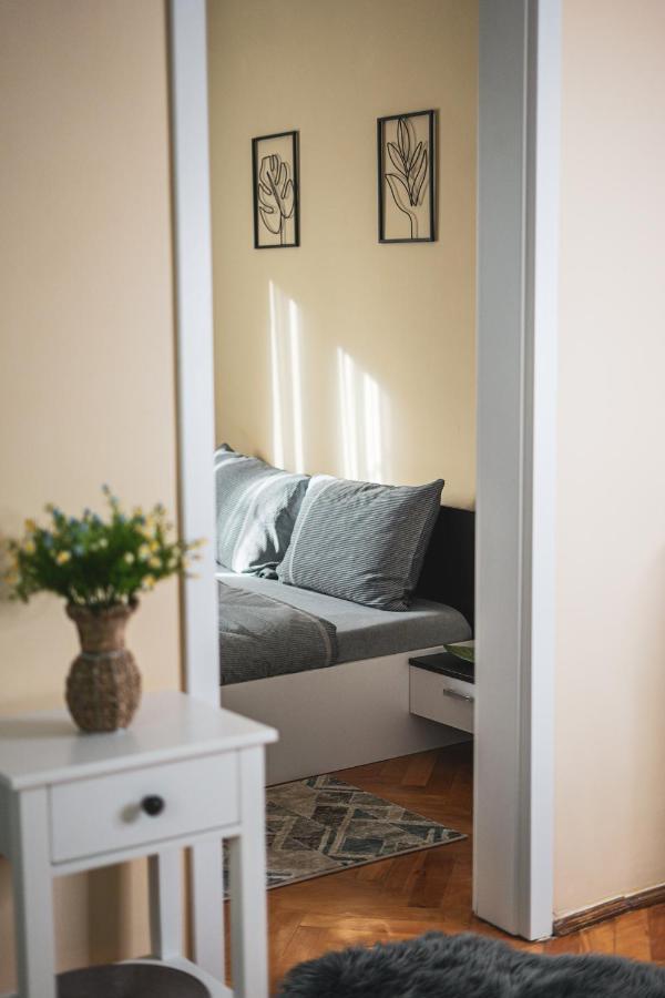 Central And Modern Apartment With Free Parking Timisoara Luaran gambar