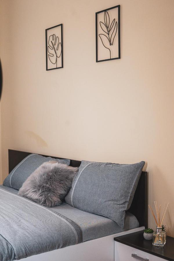 Central And Modern Apartment With Free Parking Timisoara Luaran gambar